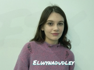 Elwynadudley