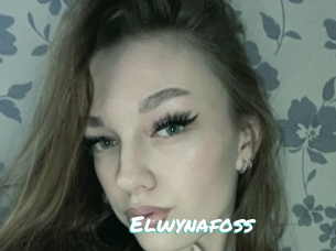 Elwynafoss