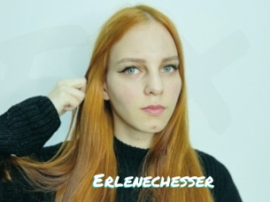 Erlenechesser