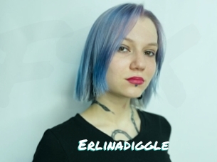 Erlinadiggle