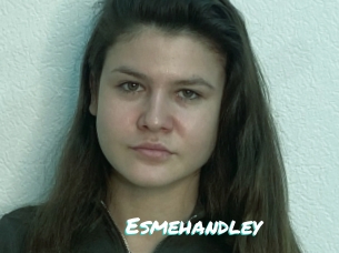 Esmehandley