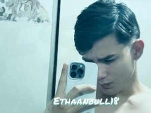Ethaanbull18