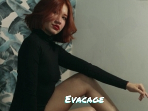 Evacage