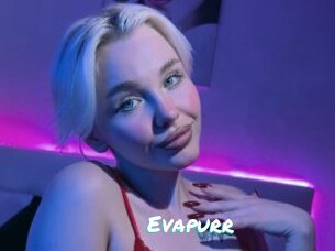 Evapurr