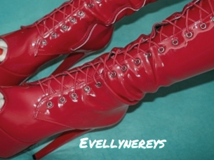Evellynereys