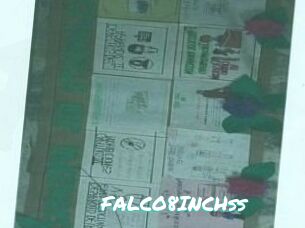 FALCO8INCHss