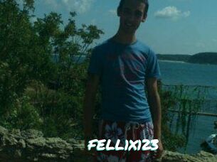FELL1X123