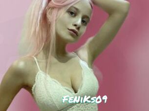 FeNiKs09