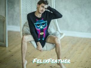 FelixFeather