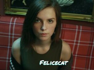 Felicecat