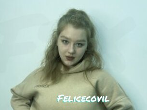 Felicecovil
