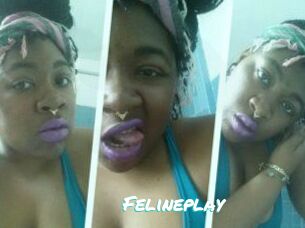 Felineplay