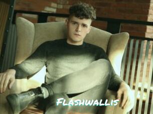 Flashwallis