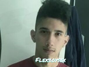 Flexboysex