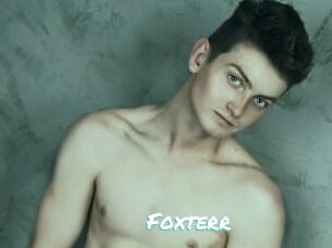 Foxterr