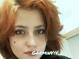 GarminViV