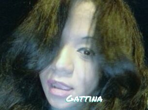 Gattina