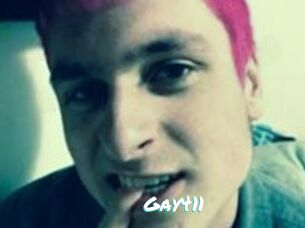Gay411