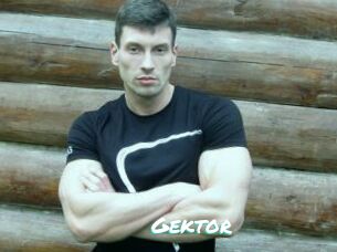Gektor