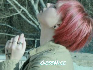 GessNice
