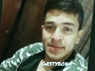 Gestyboy