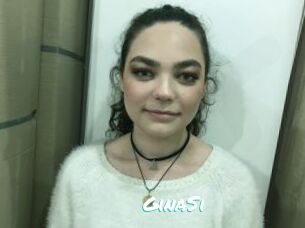 GinaSi