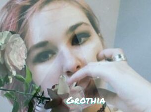 Grothia