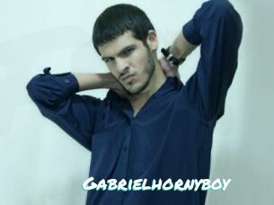 Gabrielhornyboy