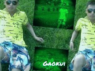 Gaokui