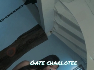 Gate_charlotee