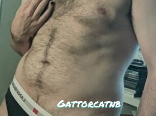 Gattorcatnb