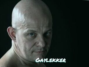 Gaylekker