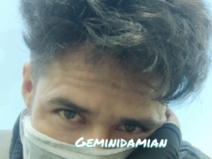 Geminidamian