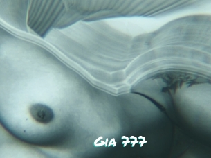 Gia_777