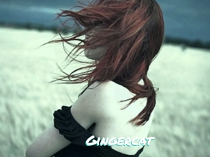 Gingercat