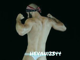 HEVAN12344