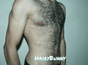 HairyBunny