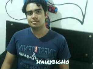 HairybigHo
