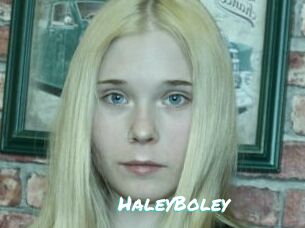 HaleyBoley