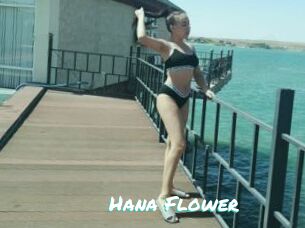 Hana_Flower