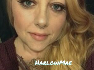 HarlowMae