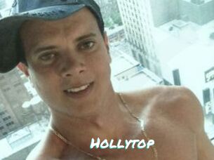Hollytop