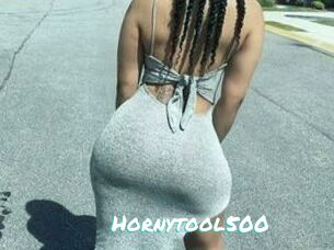 Hornytool500