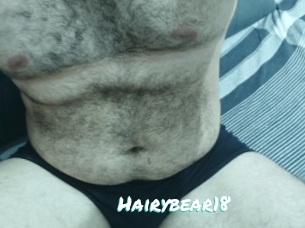 Hairybear18
