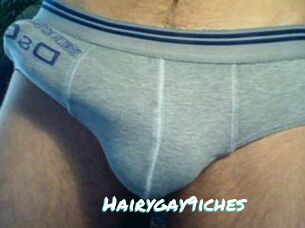 Hairygay9iches