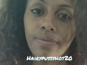 Hairypussyhot20