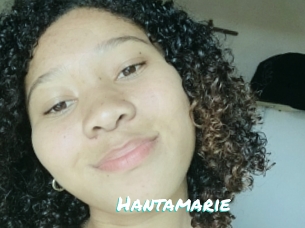 Hantamarie