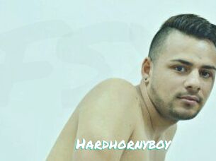 Hardhornyboy