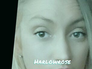 Harlowrose