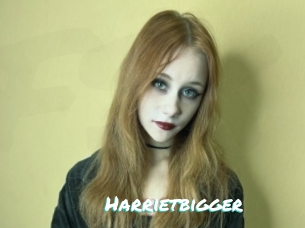Harrietbigger